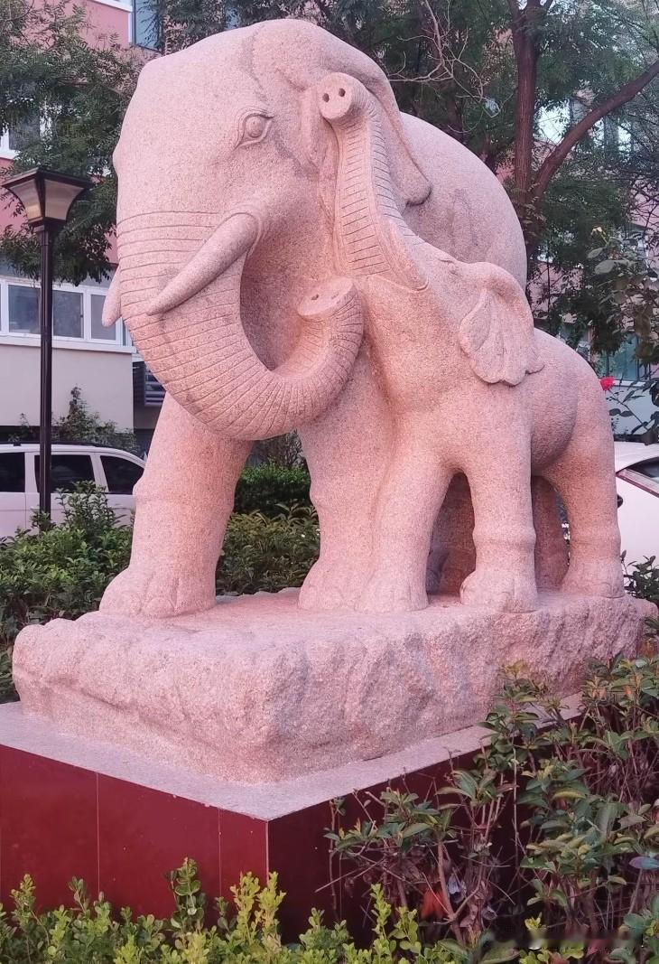 猜猜看！胶州这对网红“石象母子”藏在哪个小区？
在胶州新立街社区的绿化带里，一对