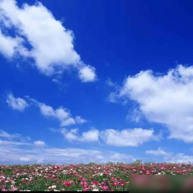 葬礼账本上，堂哥的名字后面是一片空白。

早些年岳母走时，他往礼柜里塞过五千块，