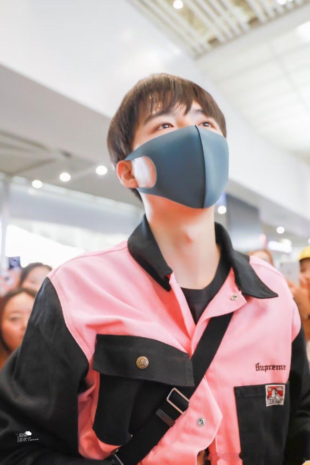 顺毛好乖啊！眼睛好漂亮！