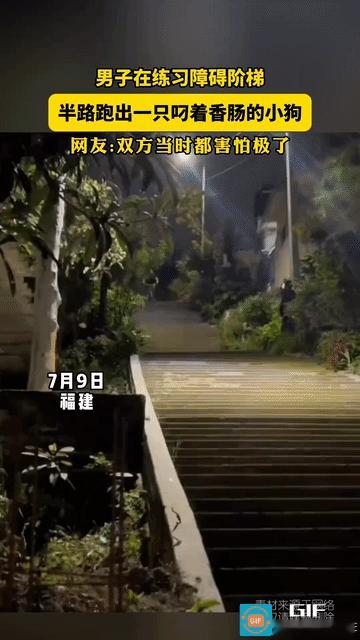 差点狗命不保！男子骑单车从台阶上快速飞奔下来，不料半路杀出个程咬金，一只小狗从旁