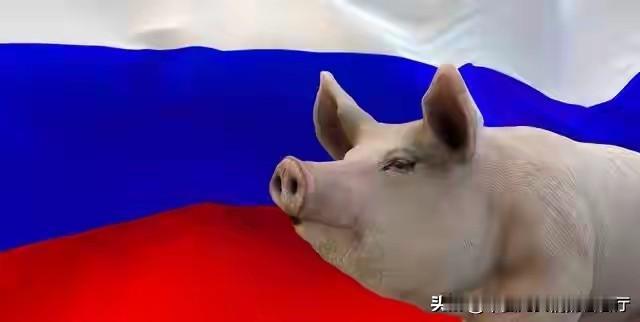 大家有没有发现，在现实生活中，越缺啥越显摆啥的现象比比皆是！比如，有些人张口闭口