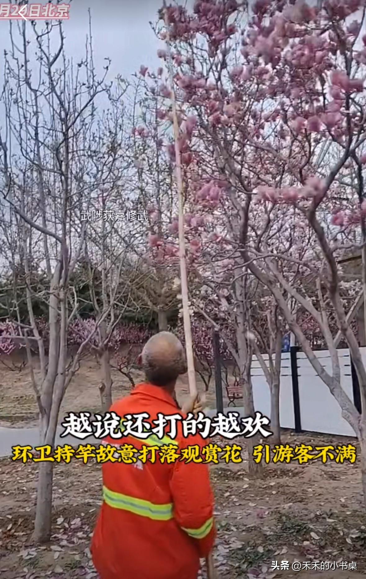 景区里，环卫工人拿着竹竿，故意打落树上的观赏花，引得游客不满。
大姐说：“你们打