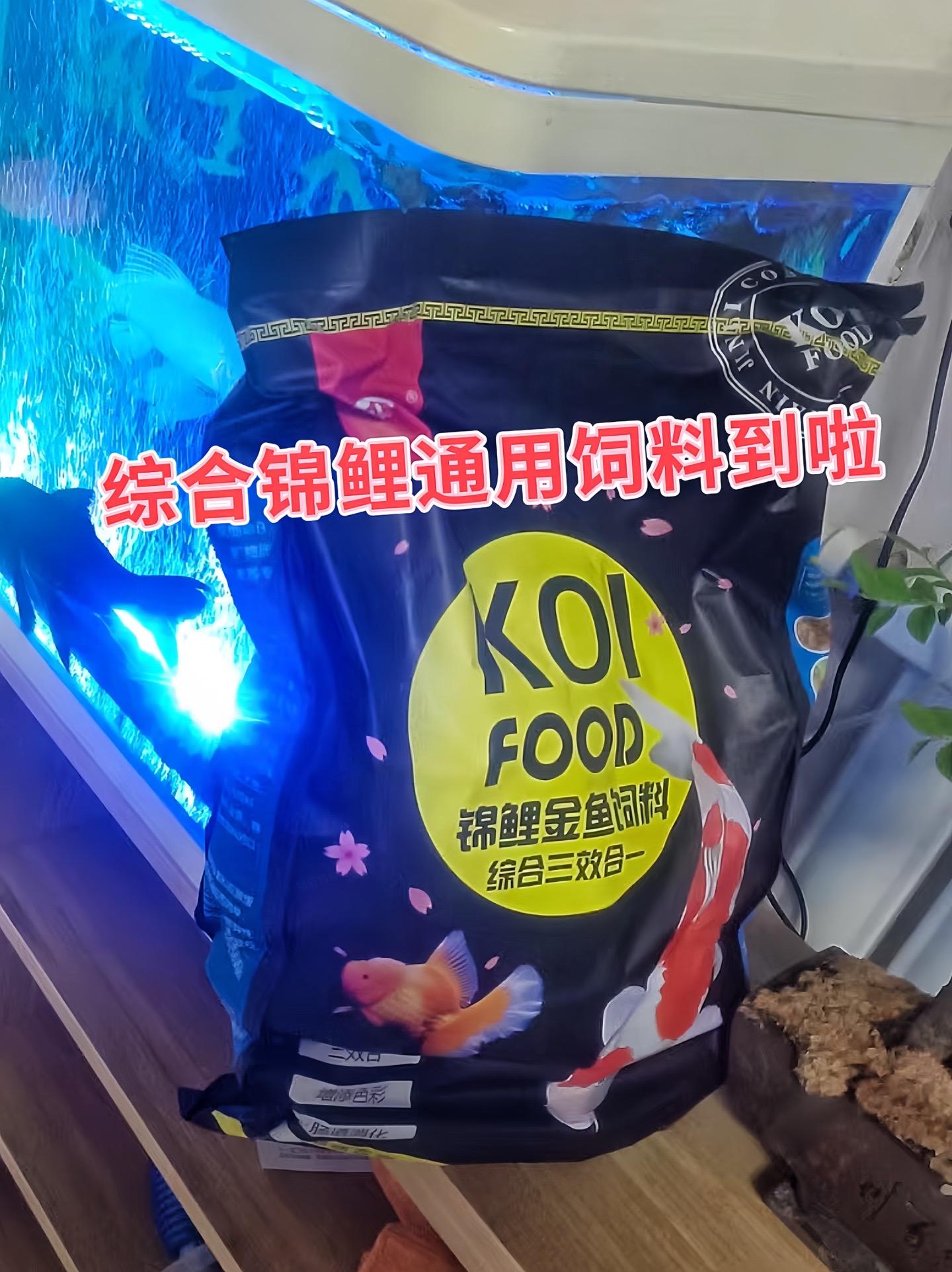 1.营养均衡：  ●蛋白质供给：蛋白质是锦鲤生长、发育和维持身体机能的...