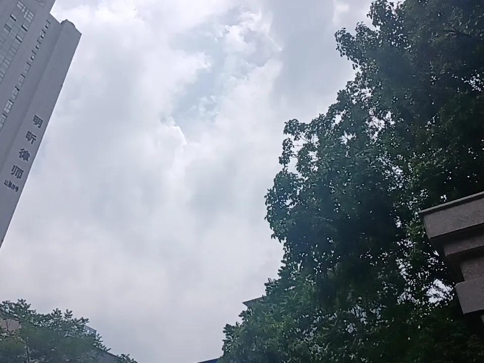 这世界是个大型 RPG 游戏。
有些路可能你天天路过，但从来没有走过；有些人可能