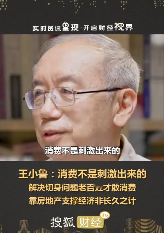 这才是真正的专家！王小鲁说：我不赞成所谓的刺激消费，消费怎么能是刺激起来的。消费