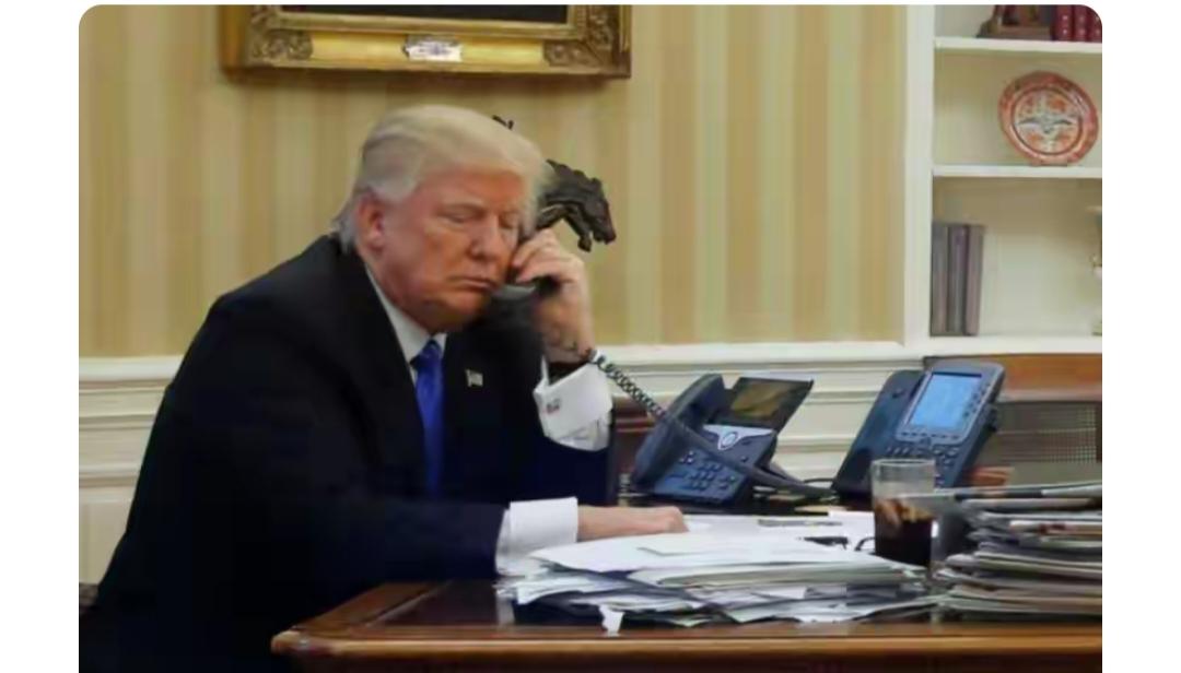 特朗普会在贸易问题上对日本让步吗？我看悬。此前特朗普就表态希望将对日贸易逆差缩减