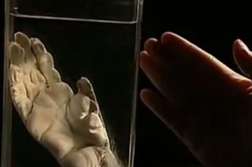 1957年，浙江发现疑似“野人”的生物，攻击小女孩。村民发现后将其打死，并吃掉，