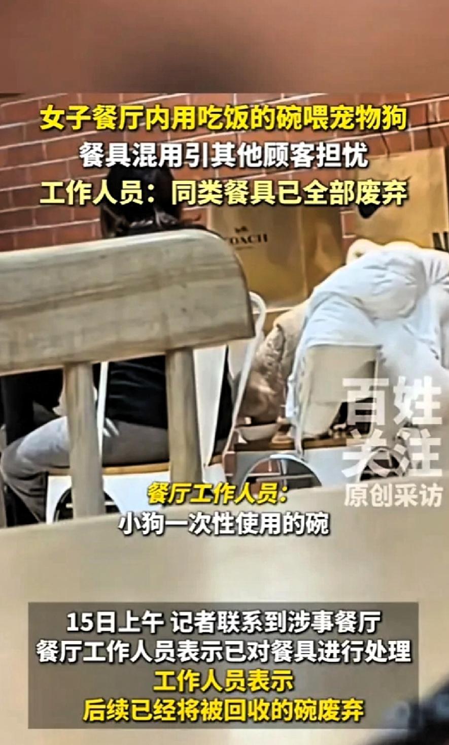 真的太不膈应人了！
12月14日，北京一女子吃饭时，发现邻桌的客人正用盘子给狗喂