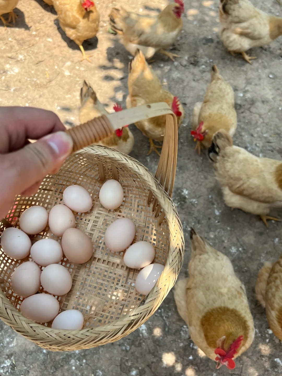 西安的…真是吃了一场酣畅淋漓的饭啊😅😅