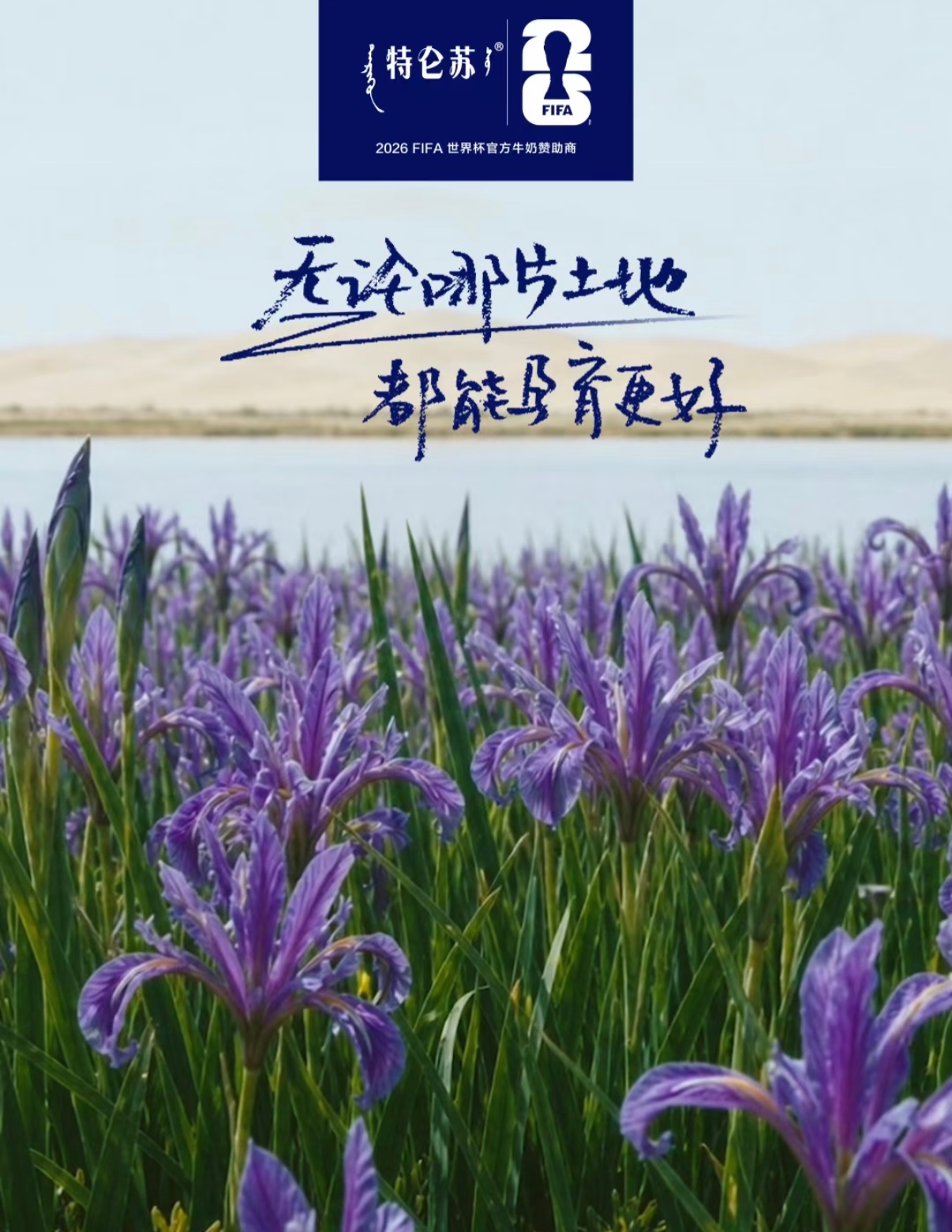 张云龙说这是世界杯级防守什么是世界杯级防守？是马尔蒂尼的预判、卡纳瓦罗的卡位、狐