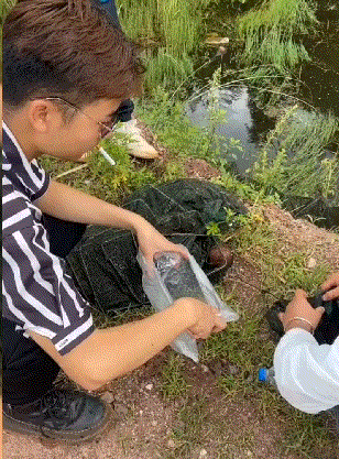 我要是没看错的话，那是一条蛇吧？