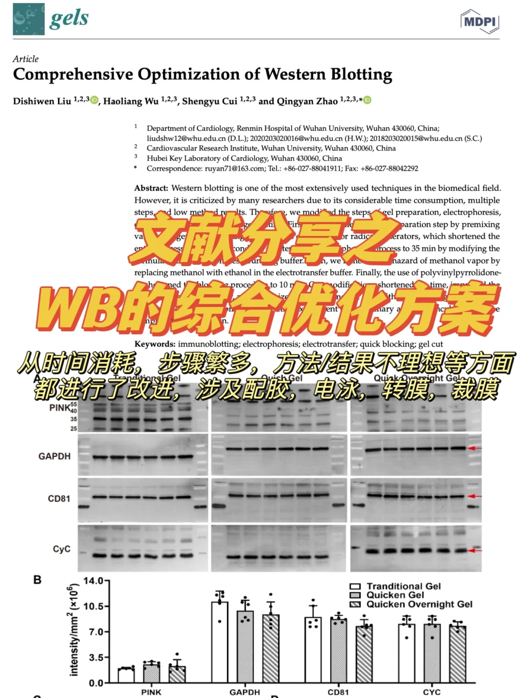 文献分享|  WB优化方案⚠️