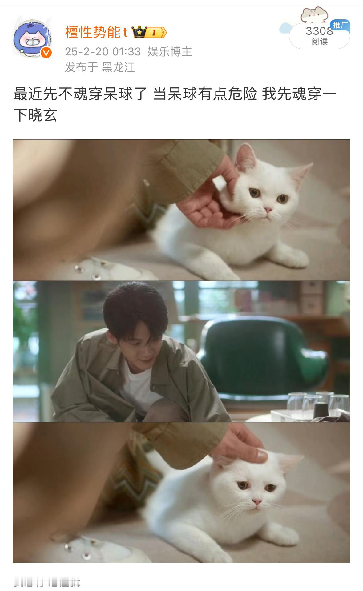一想到呆球平时又是舔他们爸爸脸又是舔他们爸爸手的 我就要感叹到底是谁偷走了我的狗