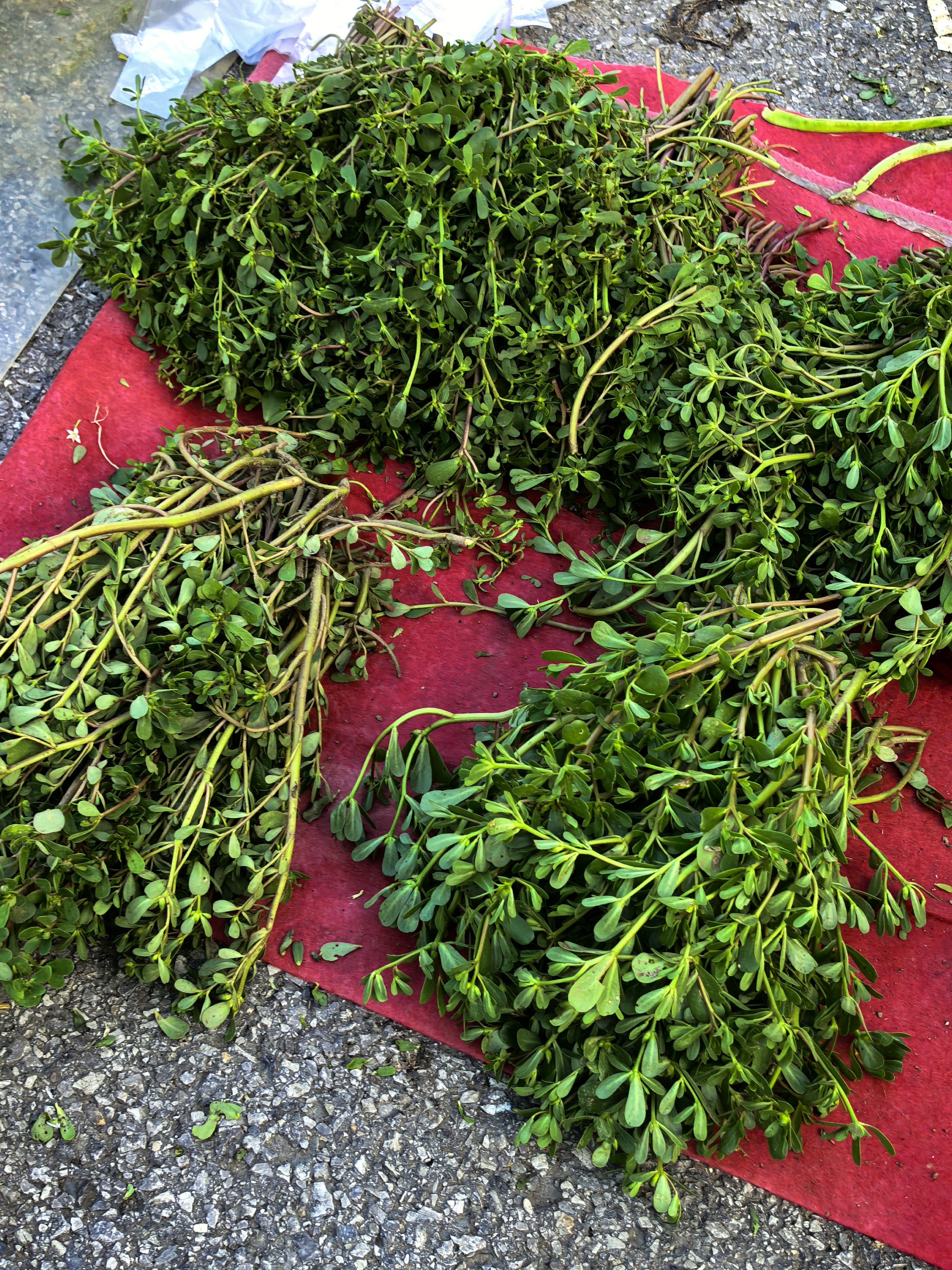 白菜蘸甲醛 还是这地摊菜市场稳当，一两块钱一堆，绝对有菜味，经济又实惠。 