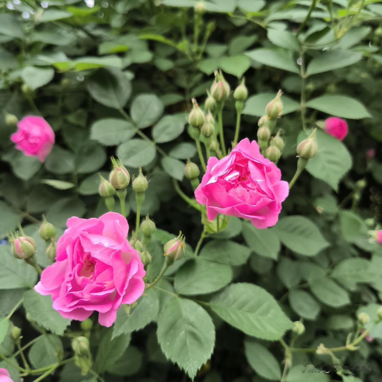 我看起来那么不值得信任吗

昨天天气不错，上午十点多，我戴上帽子口罩和眼镜，背上