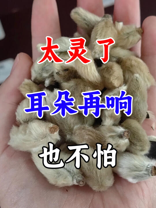 看了30多年耳鸣病症，最让我感到无奈的场景，就是患者满怀期待又焦急地问...