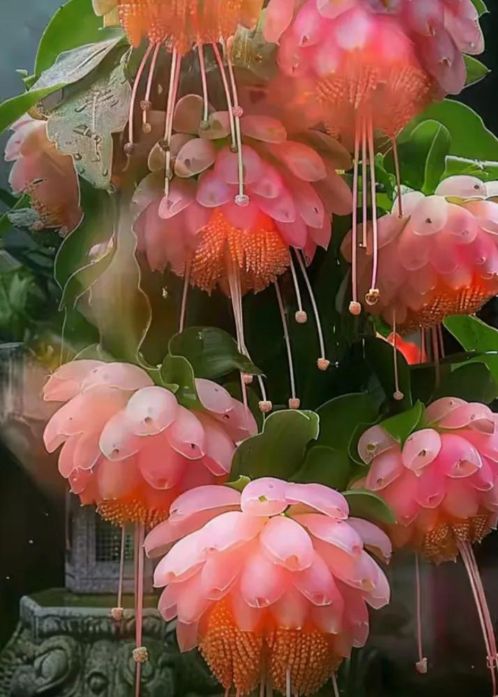 #人所有痛苦和烦恼的根源是什么?#人所有痛苦和烦恼的根源主要有以下几点：
 
1