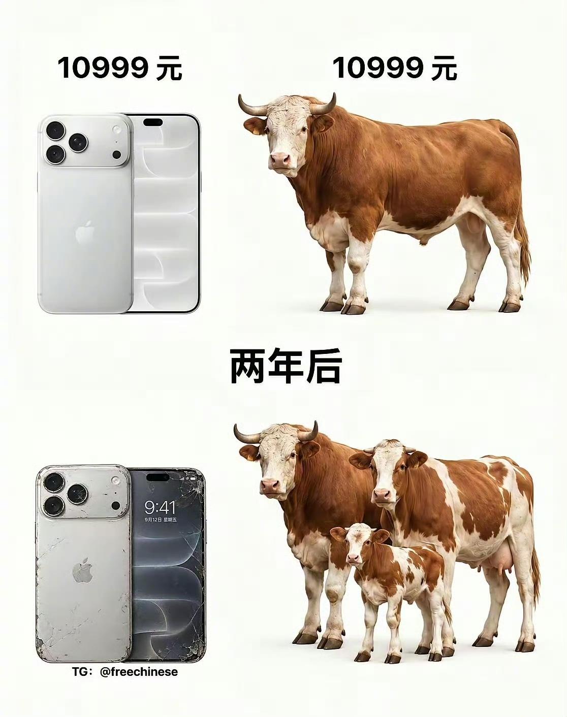 同样一笔钱，两种命运。
两年之后，手机折旧不值钱，而牛却繁育出一家子。
 
很多