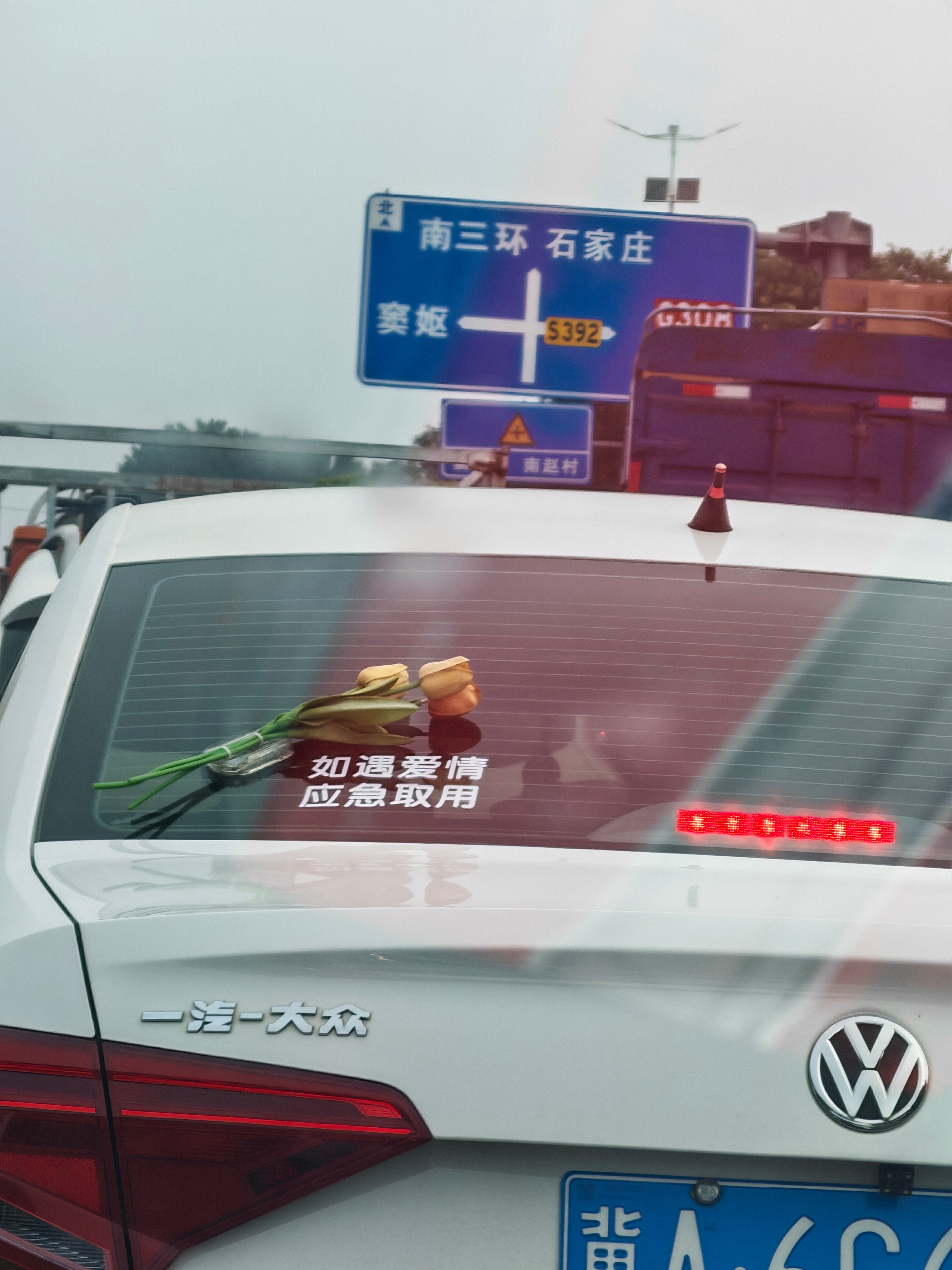我爱石家庄 “如遇爱情，应急自取”这份觉悟，也让石家庄这座城市倍感温暖