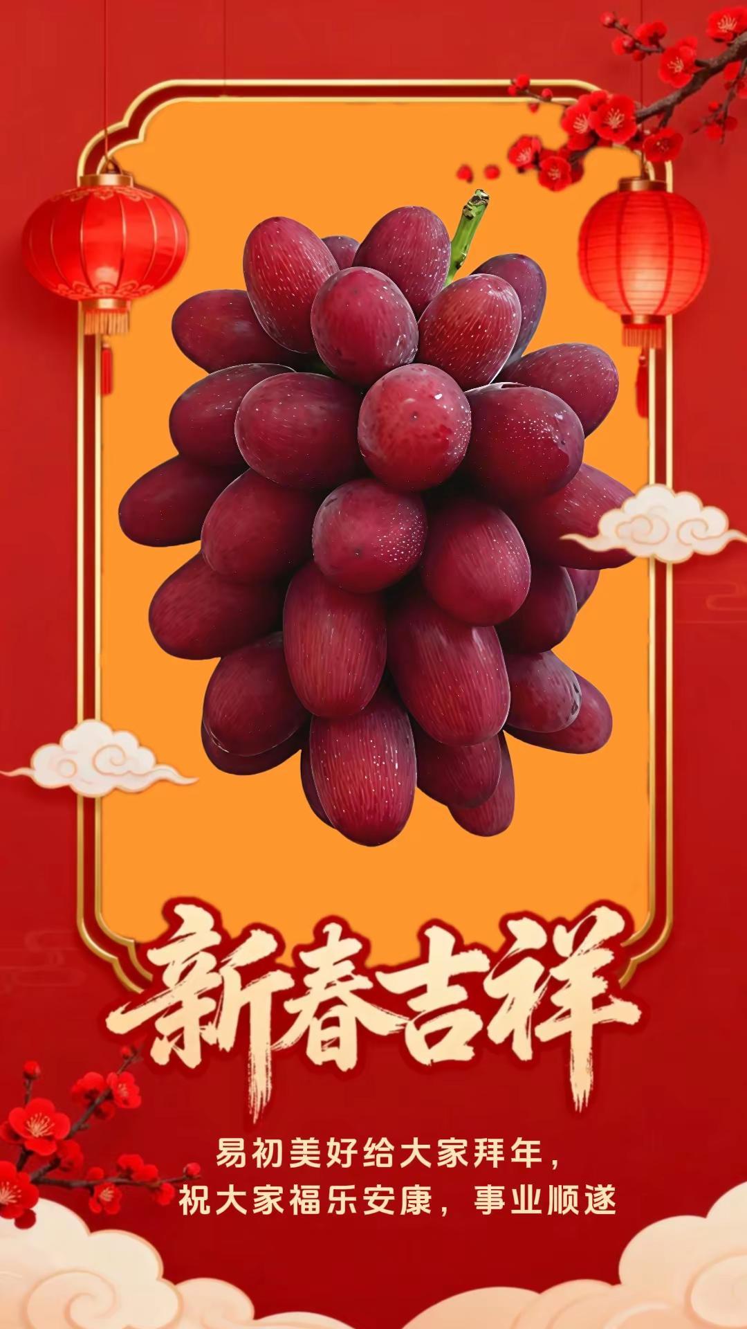 大家新春吉祥！用心做一件自己喜欢的事，是很幸福的最幸运的祝福送给你 全家康健好兆