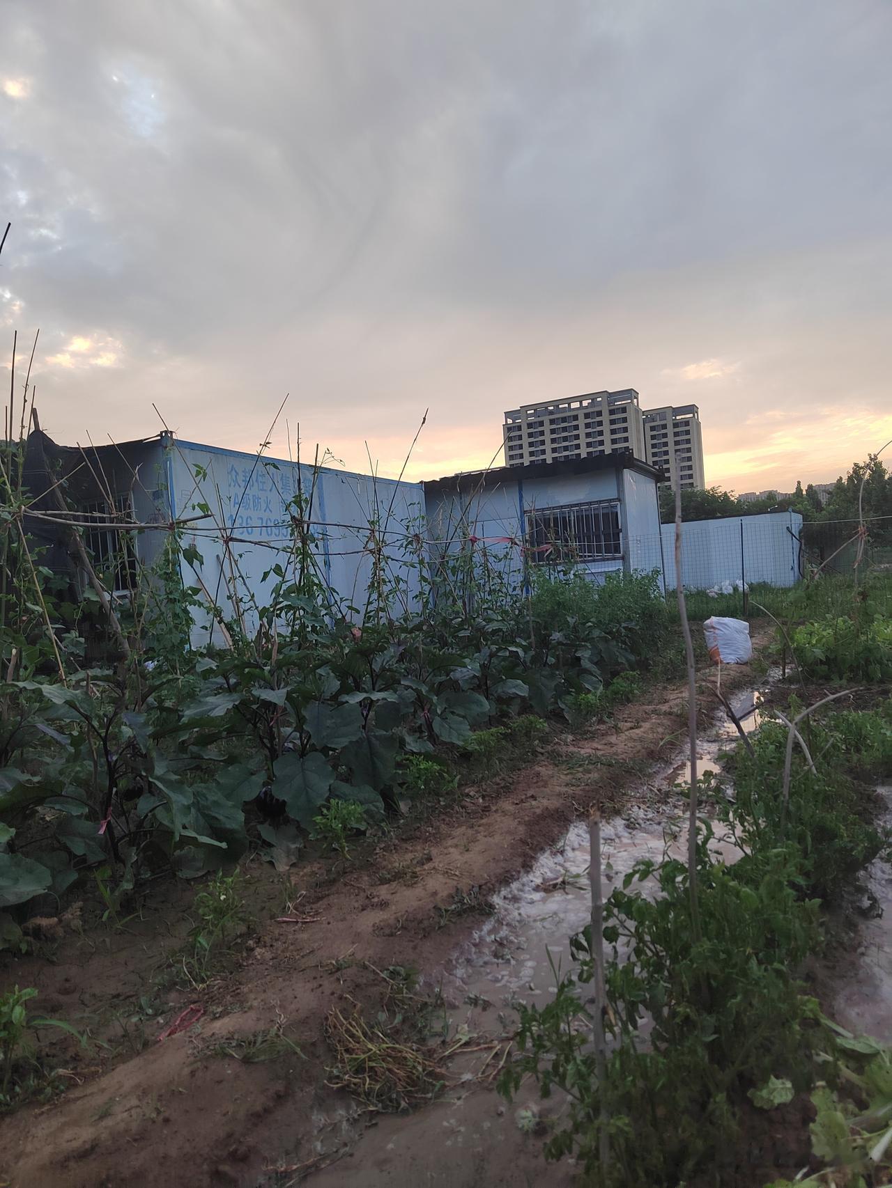 知道宇宙真相后，你会发自内心地笑了，对人祛魅了，不会再执着于拥有谁，用物而不执物