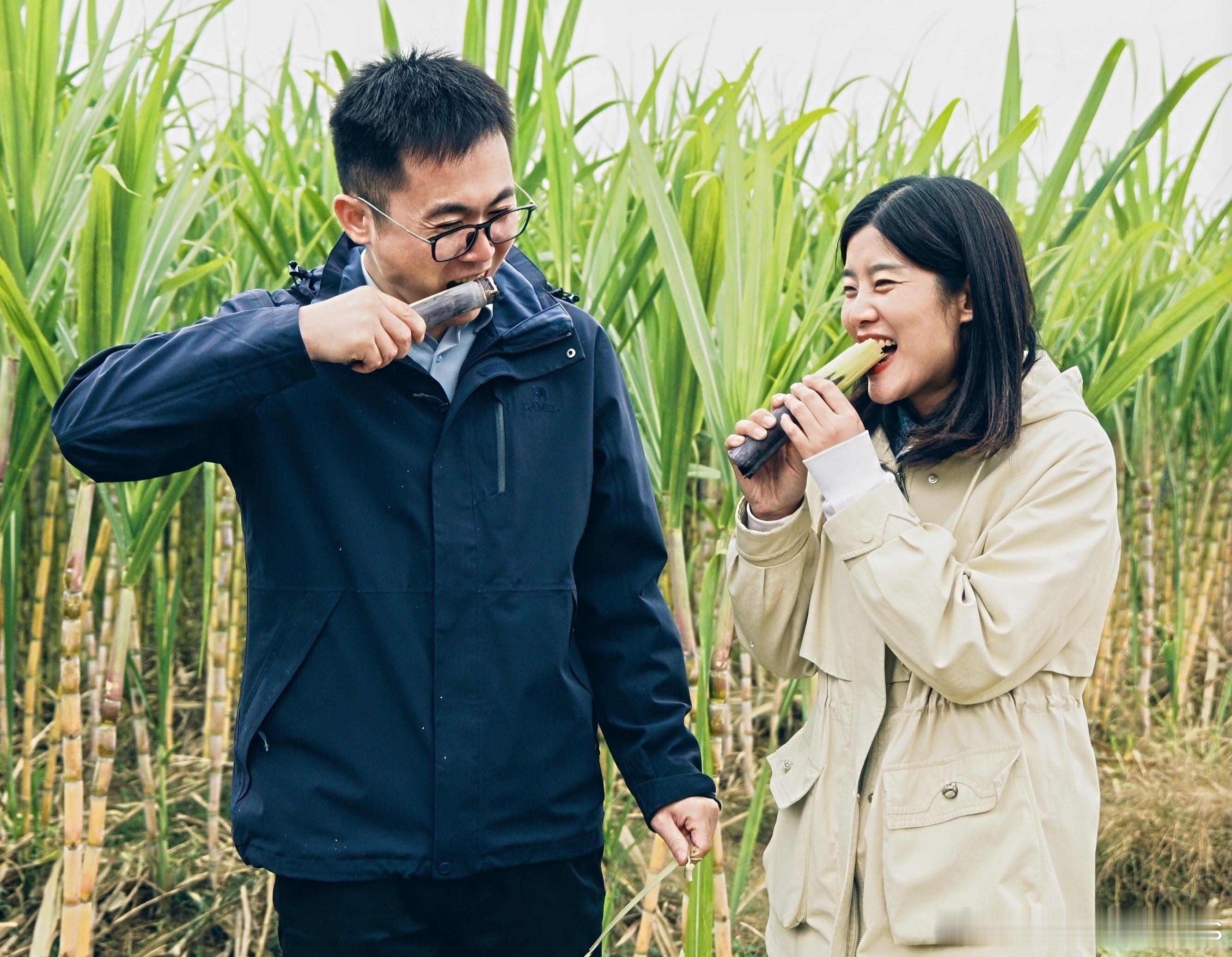  秋天，是收获满满的季节。先别沉陷于  陕西渭南这些蔬果你吃过几样？ ​​​