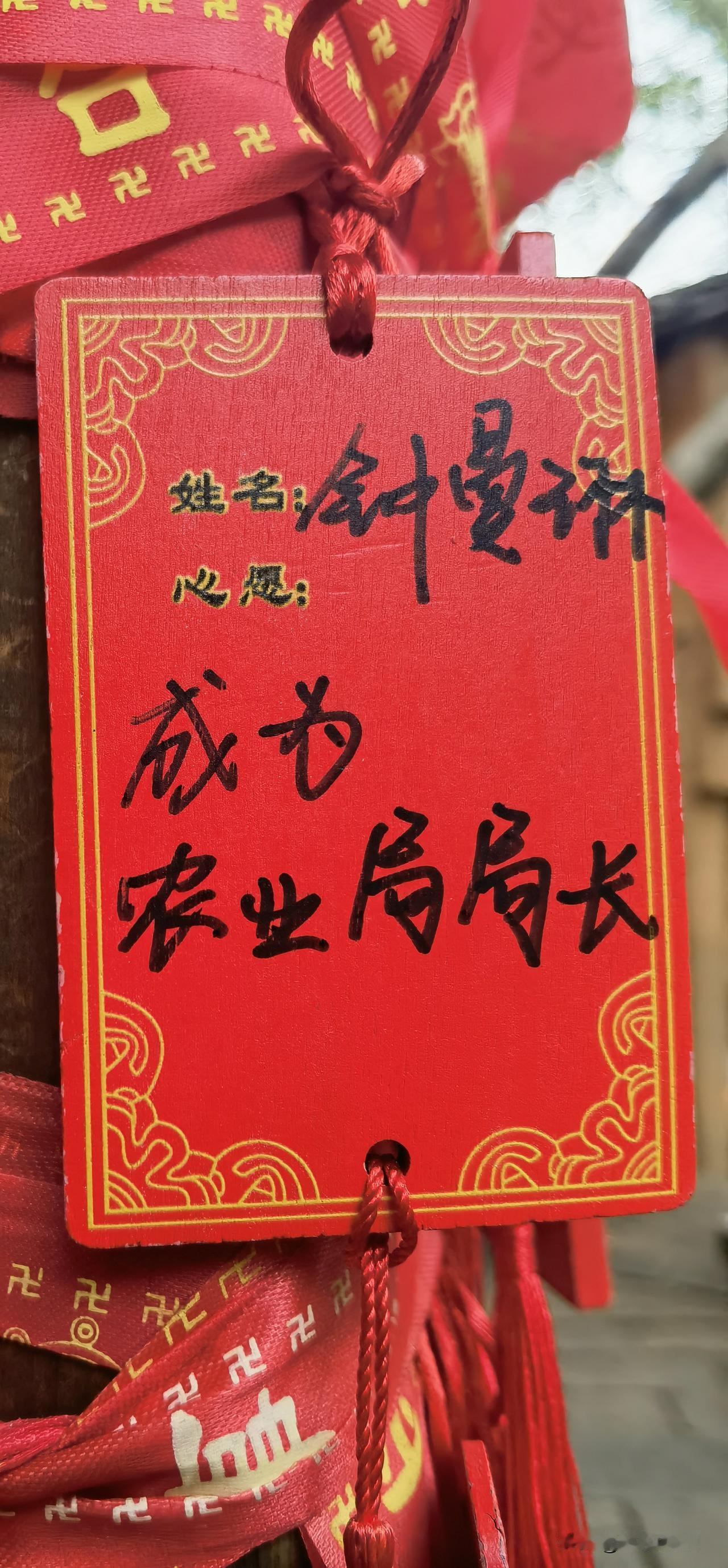 望仙谷偶遇奇妙心愿：愿帮钟曼琳圆“农业局局长”梦，求支招！
      在望仙谷