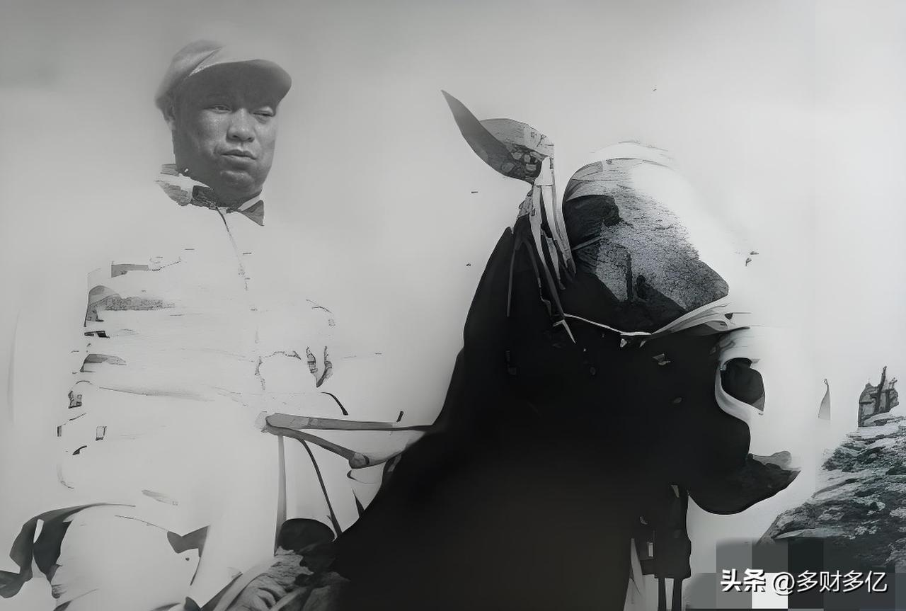 1947 年晋绥军区，将士们缴获了一匹战马，但马镫上的一个字，却让贺龙元帅脸色骤