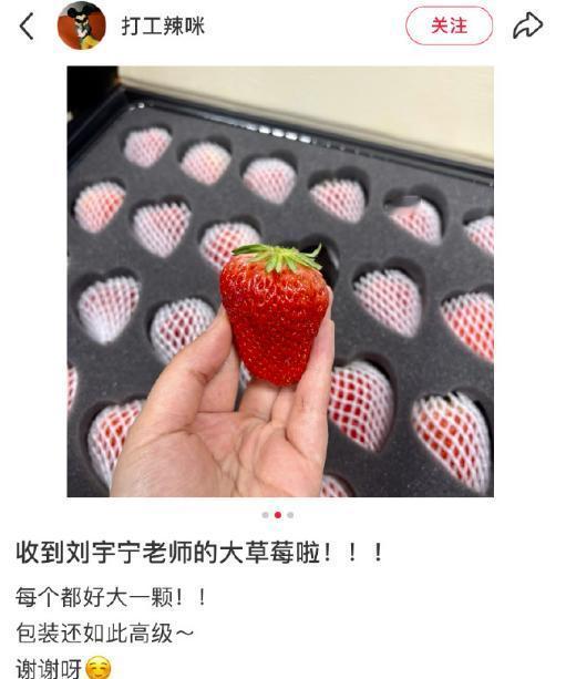 撕开爱心礼盒，拳头大的草莓把化妆师手机镜头撑爆。
你咬下去，巧克力味在齿缝炸开—