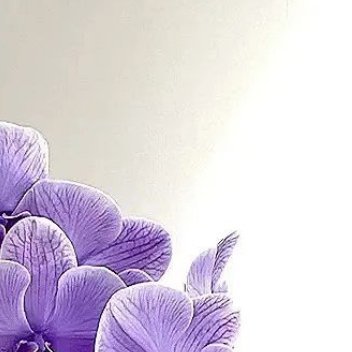 种植 蝴蝶兰的养殖方法及注意事项怎么配土选盆植料：别用普通泥土，会闷死根。首选水