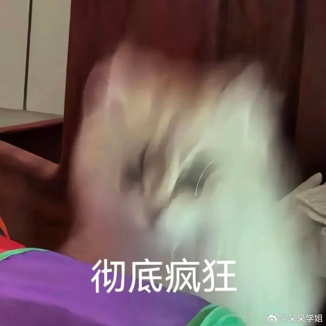 猫猫表情包。 