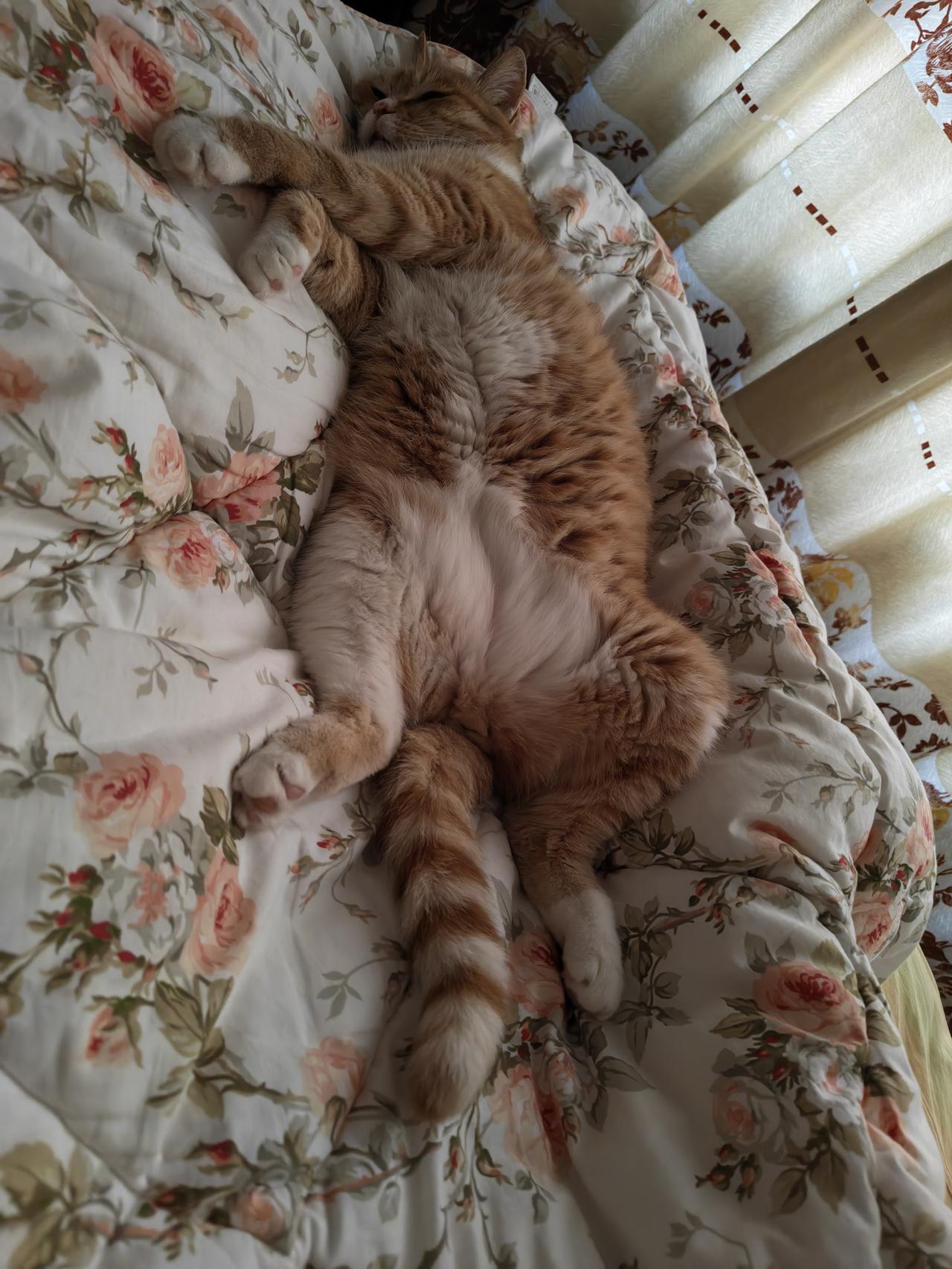 春日生活打卡季安心