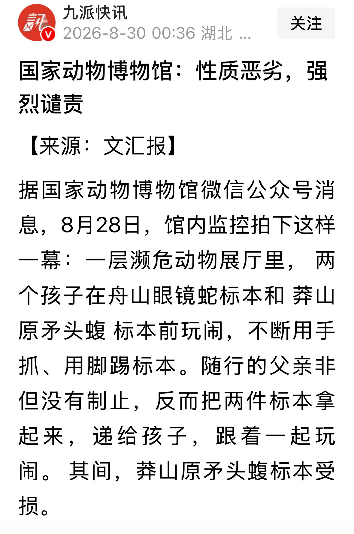 混账孩子背后一定有混账爹妈！国家博物馆强烈谴责了一位父亲。孩子违规对濒危动物标本