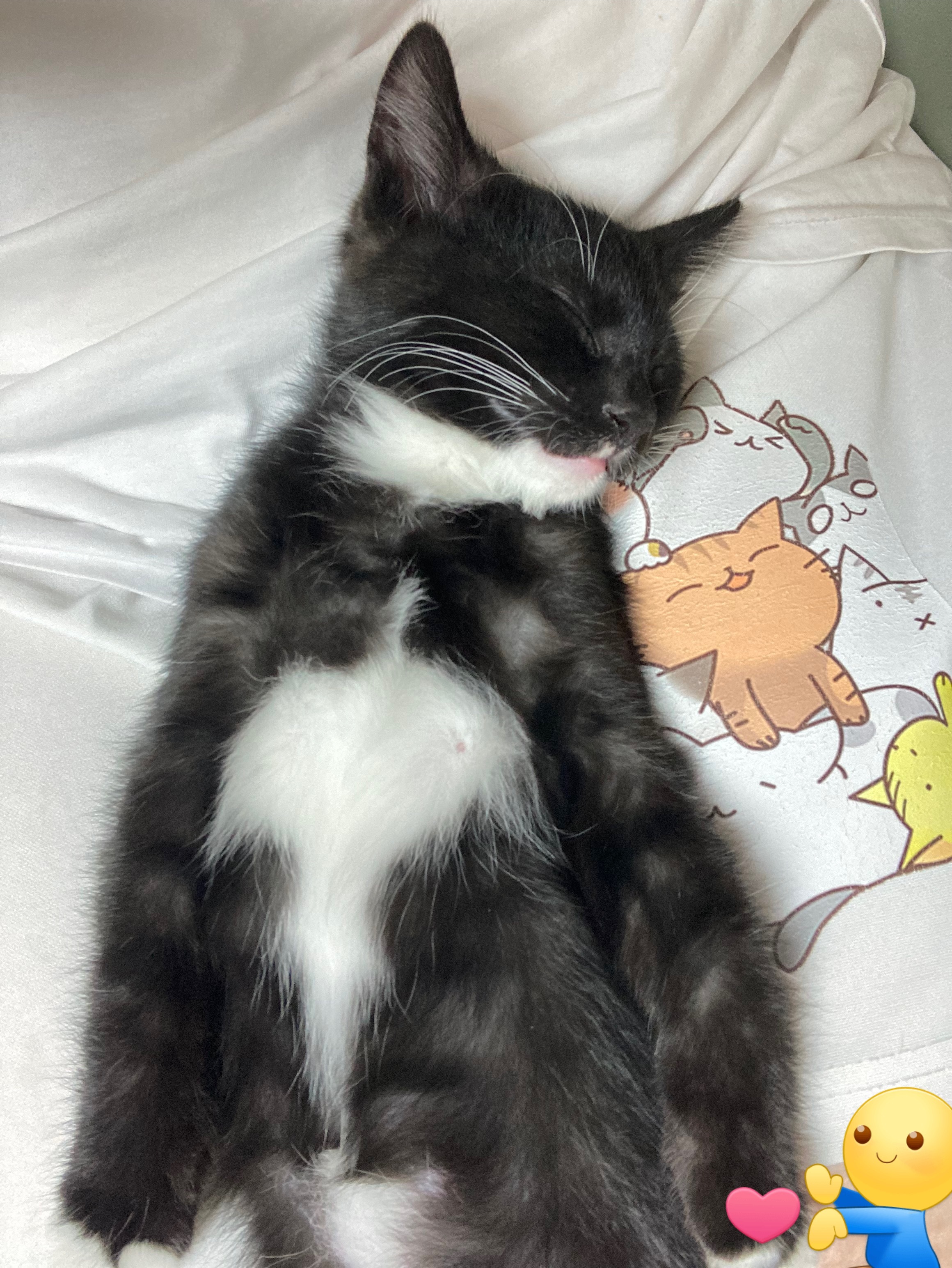 咪的咪咪……（） 