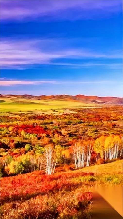 “今晚别去。”

我盯着这条微信，心跳漏半拍。

发小在群里@全员，说十年聚会“