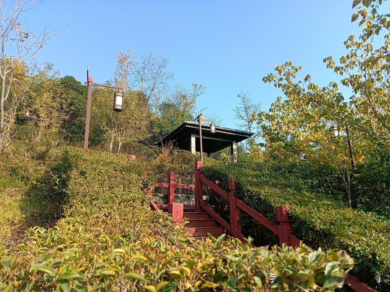 随手拍张图，分享美好瞬间西安冬日里的文景山公园。天高气爽，走进城北客运站附近的文