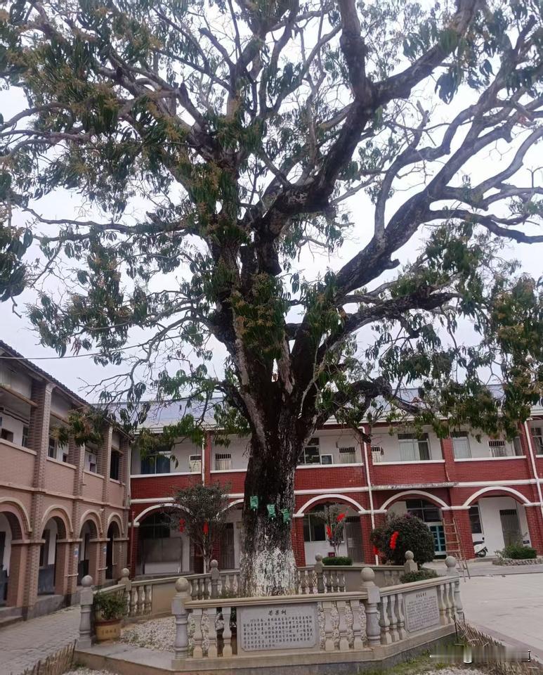 都2026年了，竟仍有女性被禁止上坟！网友怒斥：21世纪的“活化石”陋习！

你