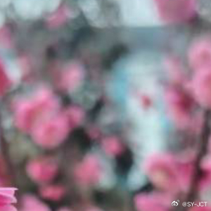 每日一善每日一善用心甘情愿的态度，过随遇而安的生活。遗憾，随风散去，美好，留在心