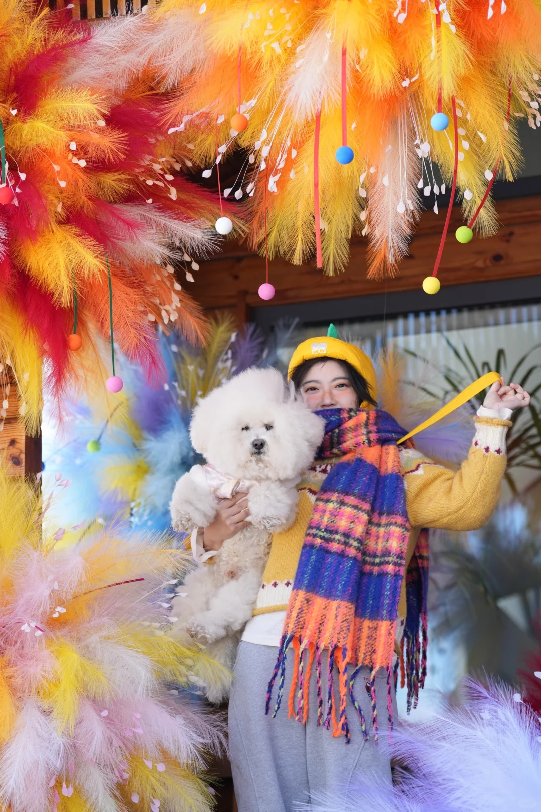 大呲花🥳白日焰火🎉又拍到狗生照片🐶