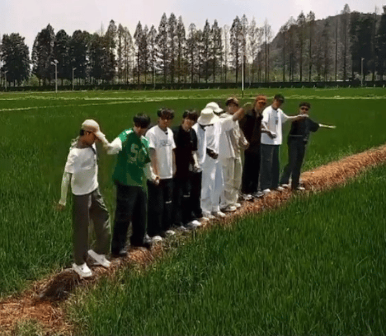 #十个勤天变成我不熟悉的样子了##被十个勤天穿搭硬控#还记得当初的十个勤天一个个