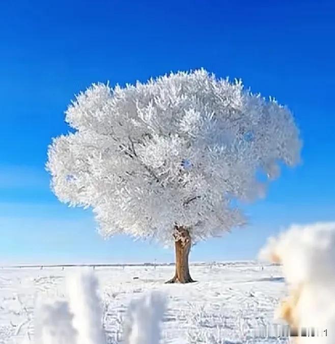 200多名毕业生送别这样的老师让人发出感慨：好人不长命。
学生们说这位老师因材施