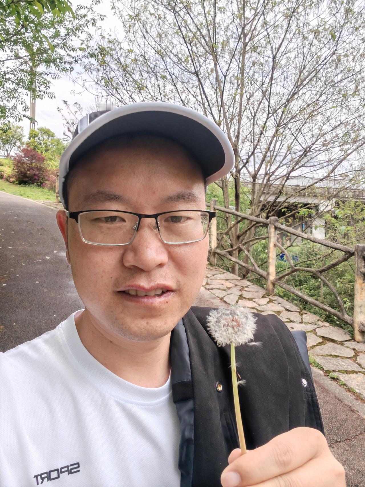 你看这蒲公英像不像咱盯的K线？风一吹它就顺着势飘走，这不就是老祖宗说的“顺天应人