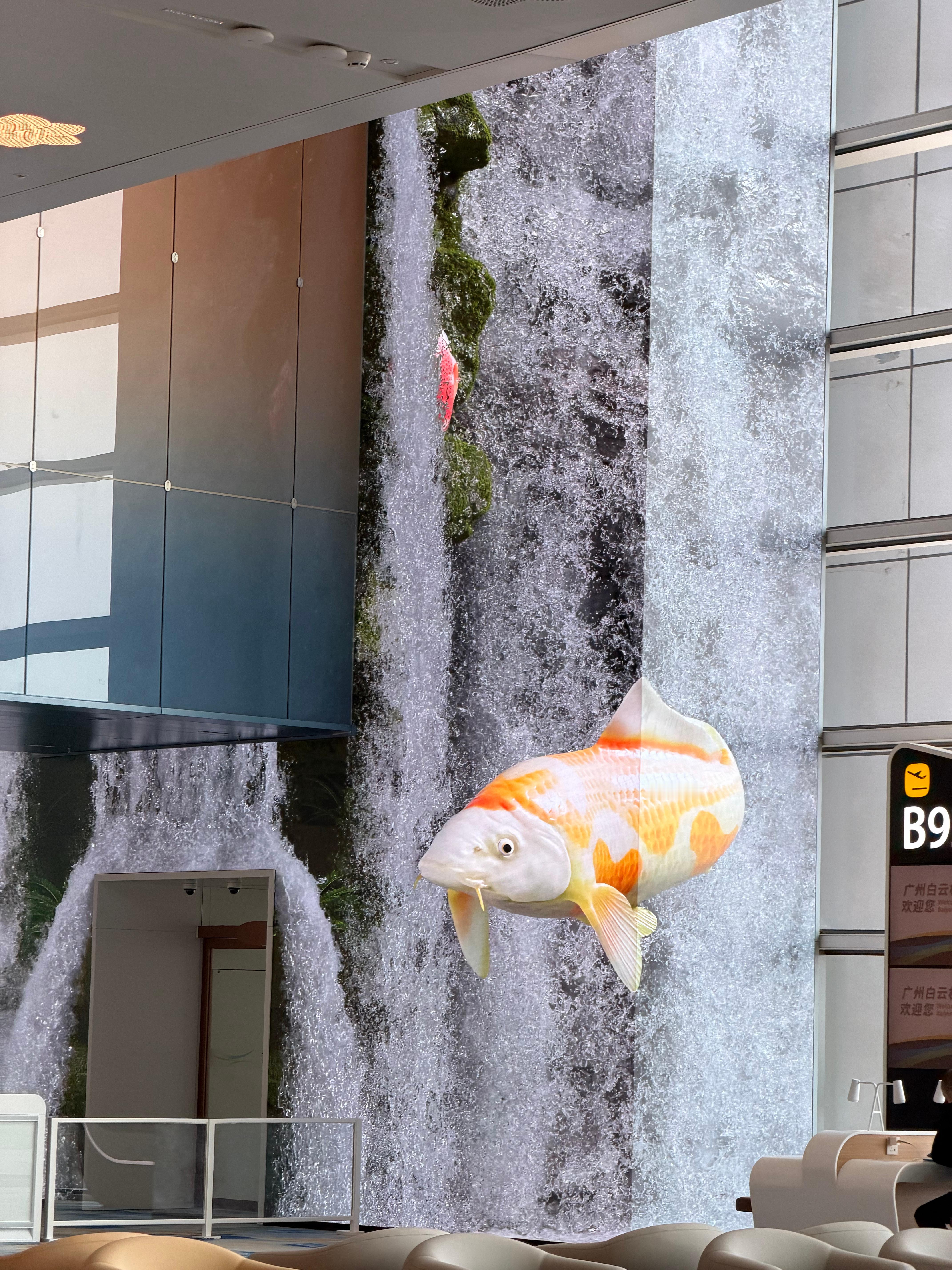 2026锦鲤附体呀看到的人都好运呀锦鲤我的日常plog 广州机场还是太超前了 广