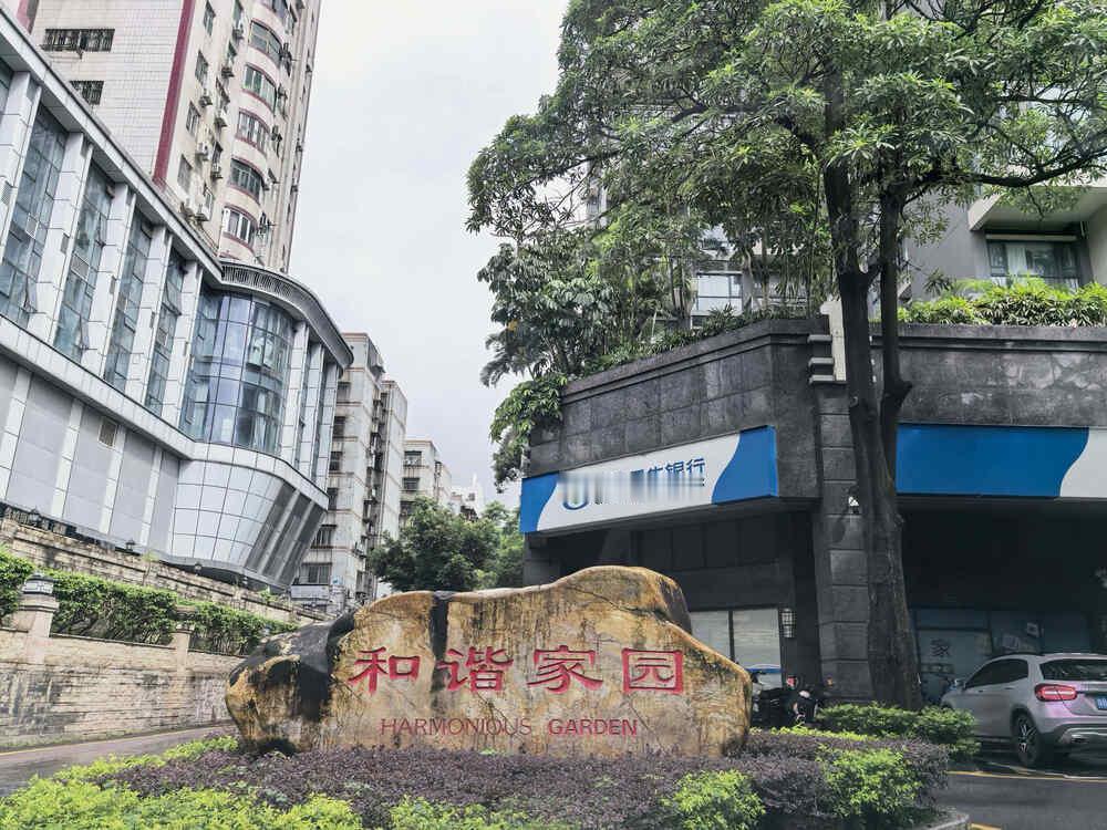 实在可惜！和谐家园这套好房只能折价出手[吃瓜群众]
很多人踩了担保的坑，无奈处置