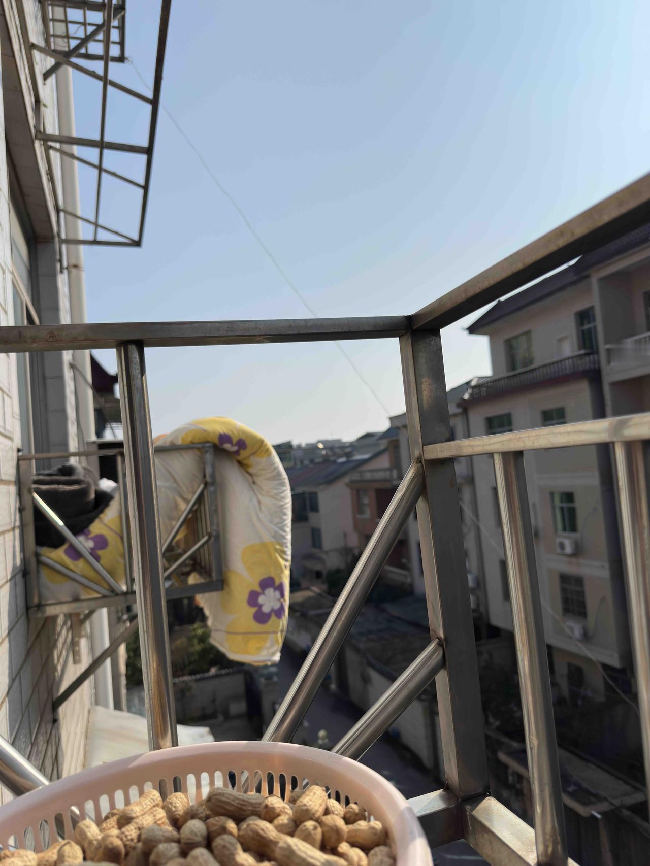 三六九，出门好日子，年初三，出发

过了8:30，都快到9:00了，太阳露出了灿