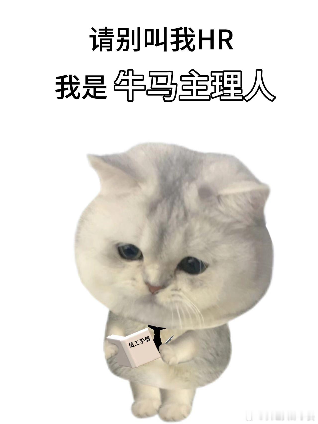 请叫我工位主理人[求关注] ​​​