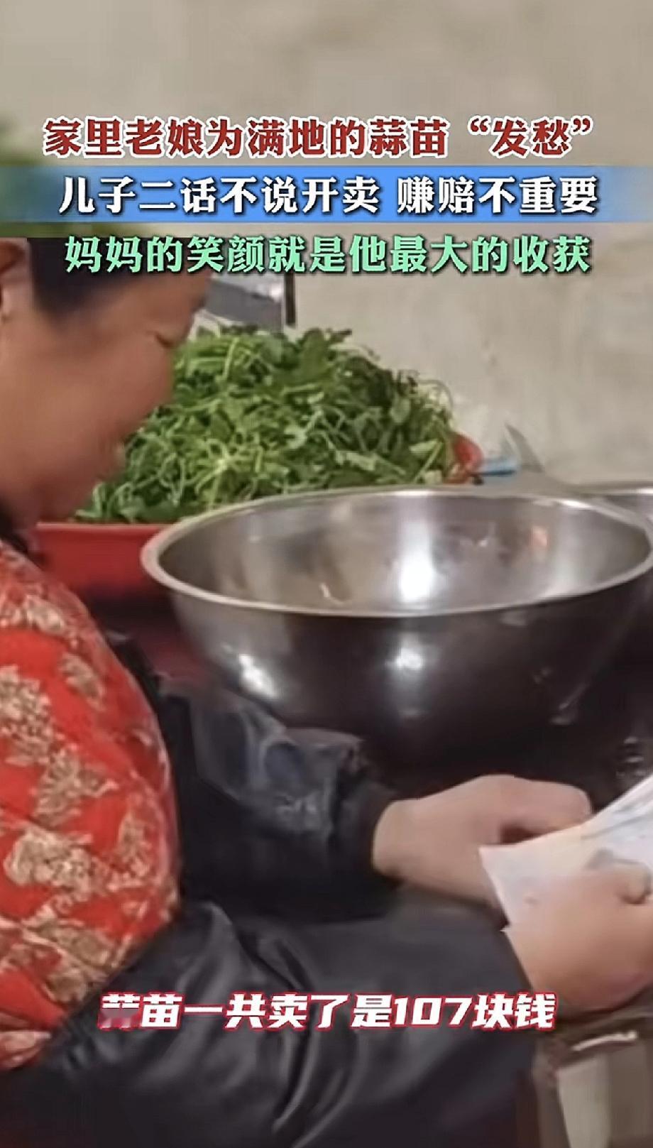 家里老娘看着满地的蒜苗发愁，种多了吃不完，扔了又心疼。

儿子看见了，二话不说，