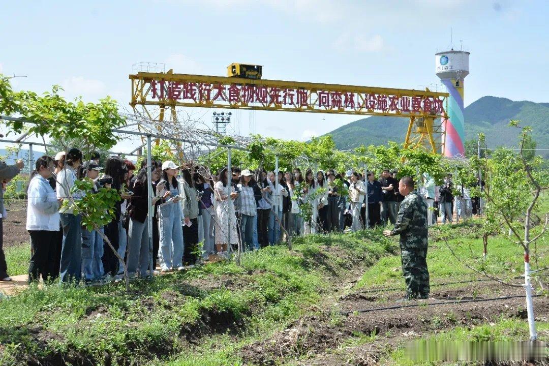 黑龙江网事万千气象看龙江 2026年6月，东北农业大学园艺园林学院190余名师生
