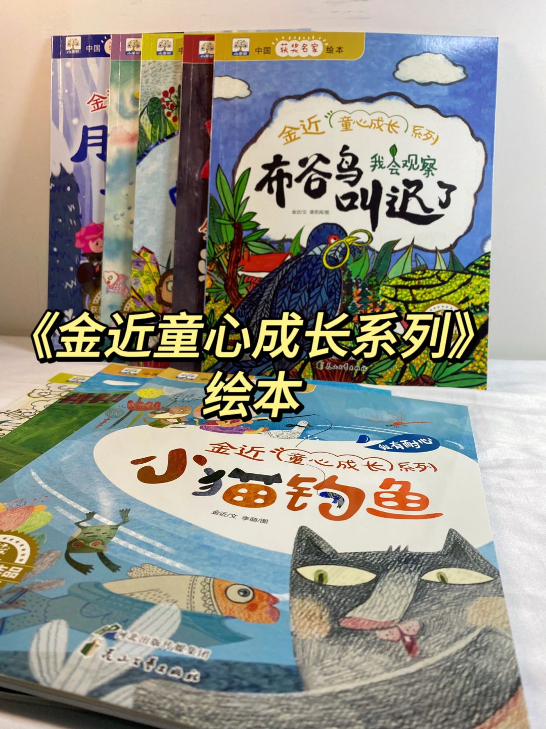 双十一给孩子选什么童书？建议家长看这套！