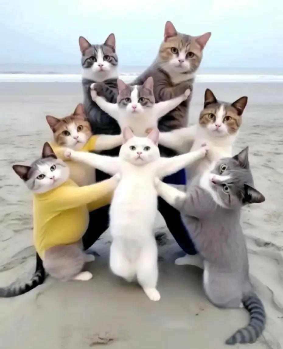 如果是猫猫摆造型，我们就会觉得很可爱[心][喵喵]为什么不能对大妈宽容些呢？ ​